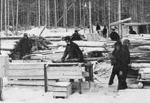 Nelaisvėje ir tremtyje (4). Pirmos prošvaistės