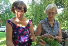 Punsko bažnyčia pasipuoš vainikais