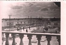 Nelaisvėje ir tremtyje (6). Pirmi apsilankymai Tėvynėje