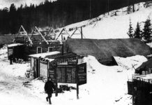 Nelaisvėje ir tremtyje (7). Lietuvoje