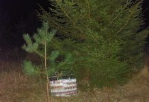 Kontrabanda oru, arba kitokie balionų panaudojimo būdai