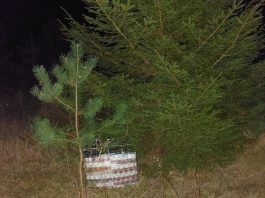 Kontrabanda oru, arba kitokie balionų panaudojimo būdai