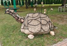 Iš neprivalomų kelionių po Lietuvą (5 dalis). Seirijai
