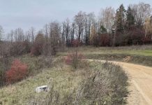 Kitą dieną po didžiagabaričių šiukšlių išvežimo. Antras raundas