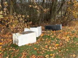 Diena po didžiagabaričių atliekų išvežimo