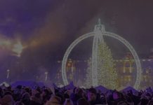 Vilniuje įžiebta šventinė eglė!