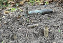 Apie žirnius ir pupas, arba kada iš tikrųjų baigiasi karas… III dalis