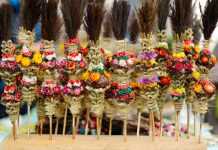 Šis tas apie Verbų sekmadienį ir verbas