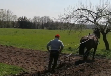 Apie tėvo pamokymus ir milžinus
