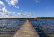 G. Skamaročius. Kaip Deivės Mildos ir meilės vardas atlaikė nutautinimus kaimyninėse šalyse