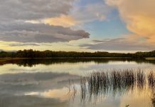 Šiurpilis Boženos Bobinienės nuotraukose