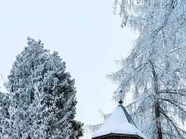 Iš ciklo: 2026 m. žiema