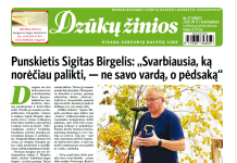Sigitas Birgelis: Rašydamas jauti, kad gyveni